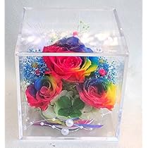 51NlZU+Hw5L._AC_UL210_SR210,